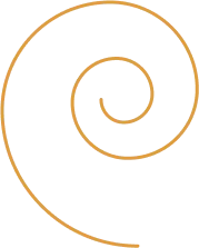 Our Latest Blog & News